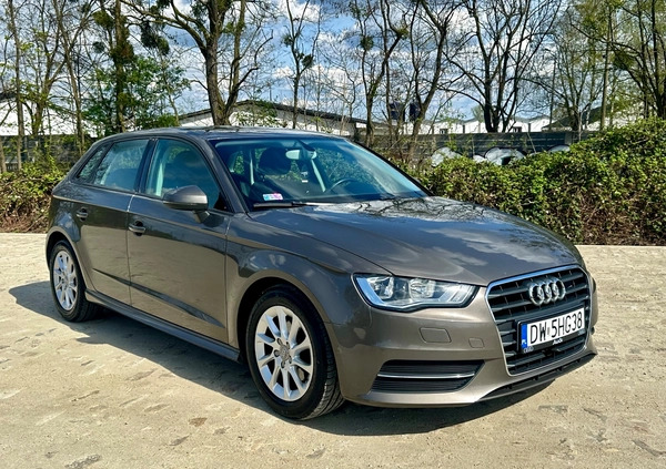 Audi A3 cena 34800 przebieg: 300000, rok produkcji 2014 z Wrocław małe 704